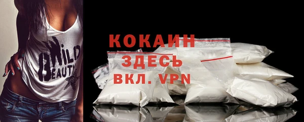 мдпв Магас