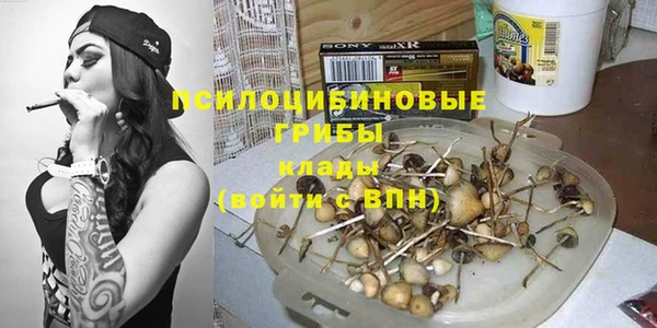 мдпв Майский