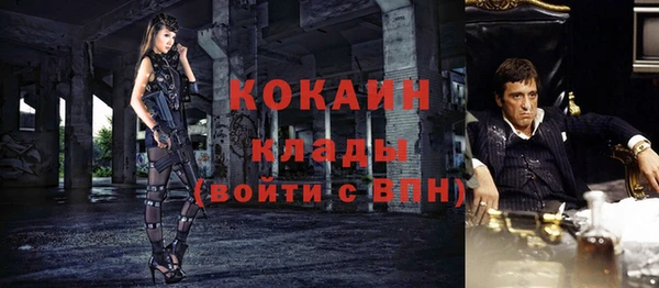 мдпв Магас