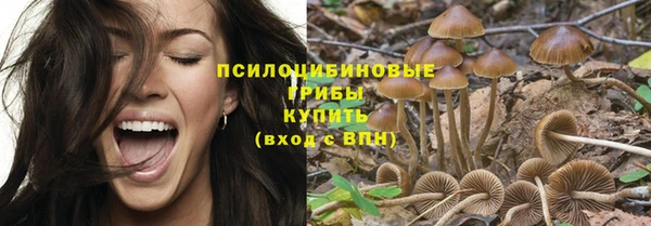 мдпв Магас