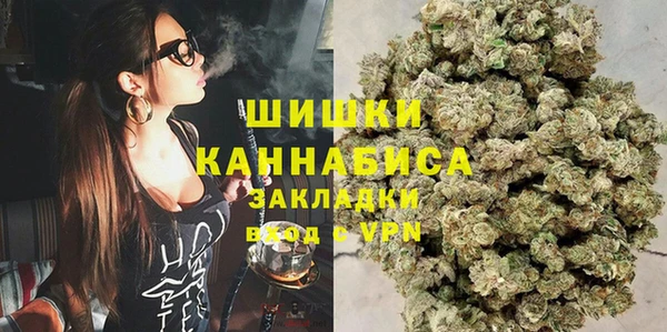 мдпв Магас